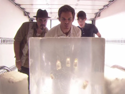 ����� 1 :: ������ 02 :: " Crocodile" / "��������"